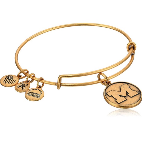 Alex and Ani Jewelry - University of Michigan Alex and Ani Bracelet